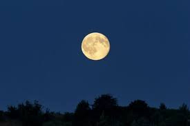 Mond