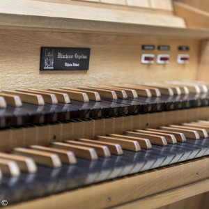 Orgel